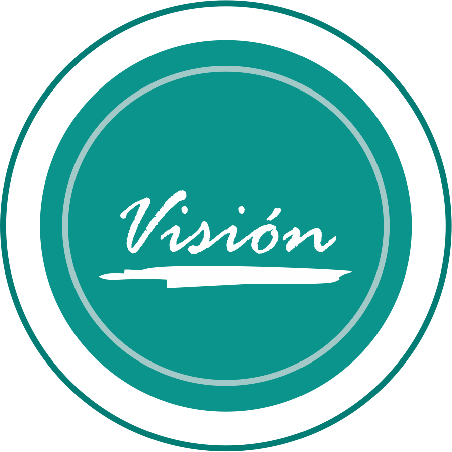vision